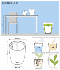 office plants